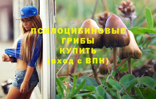 ECSTASY Абинск