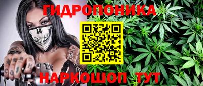 spice Гусиноозёрск