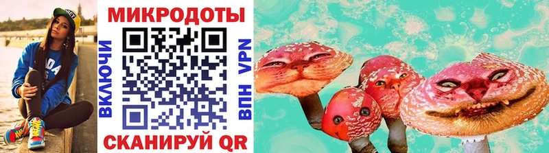ссылка на мегу ONION  где можно купить   Новоалтайск  Галлюциногенные грибы Psilocybe 